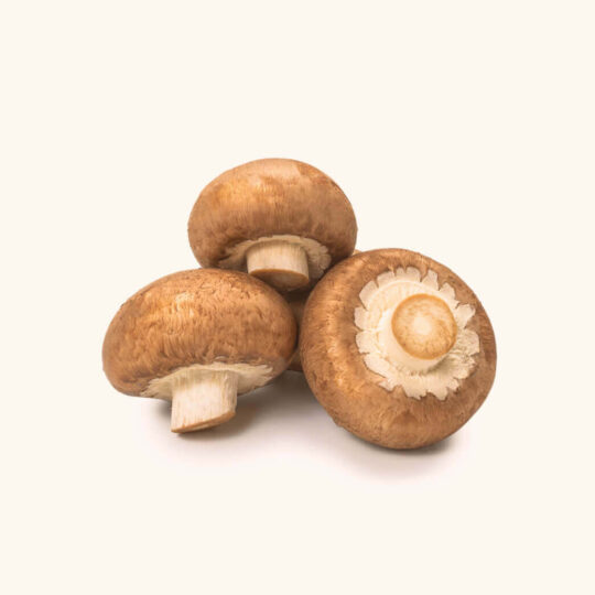 Champignon