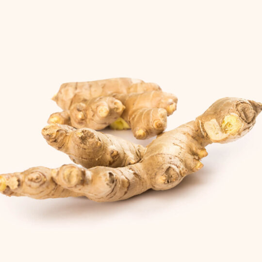 Bittersweet Ginger