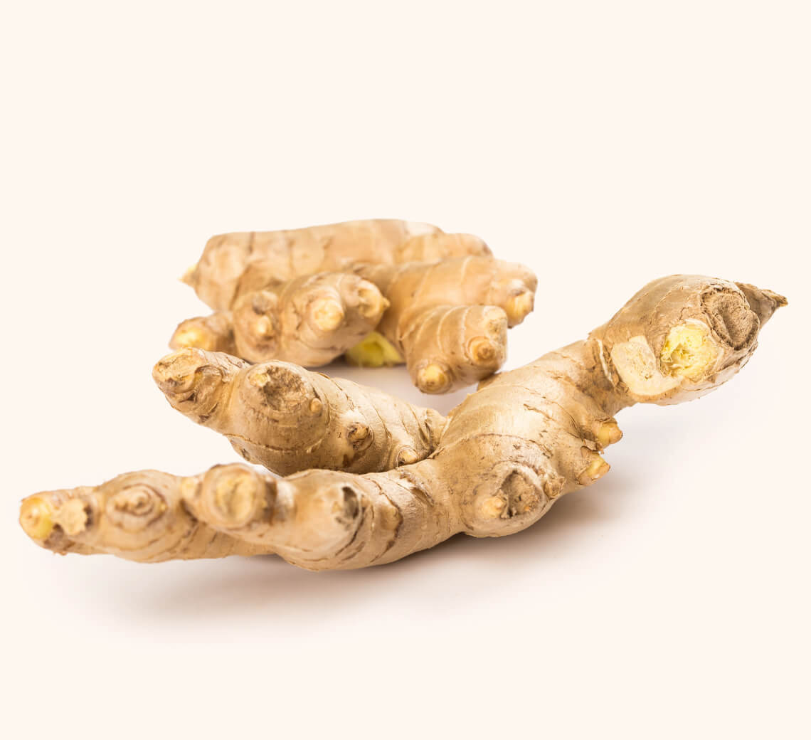 Bittersweet Ginger